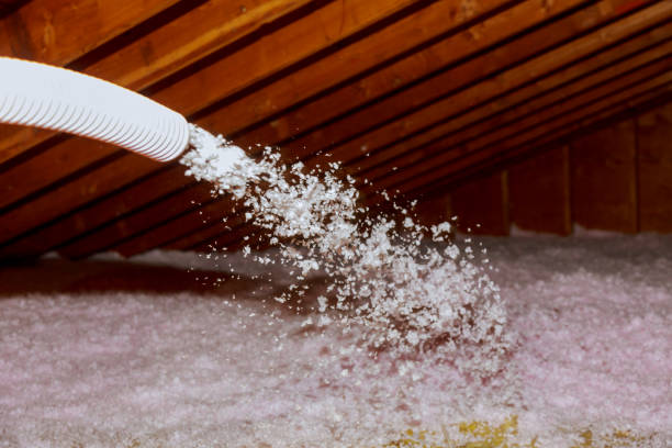 Best Commercial Insulation in Nevada, IA