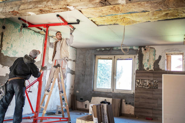 Professional Insulation Contractor in IA