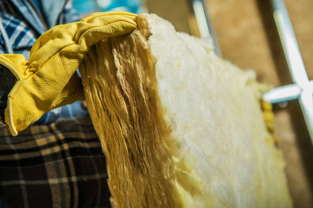Best Insulation Maintenance and Repair in Nevada, IA